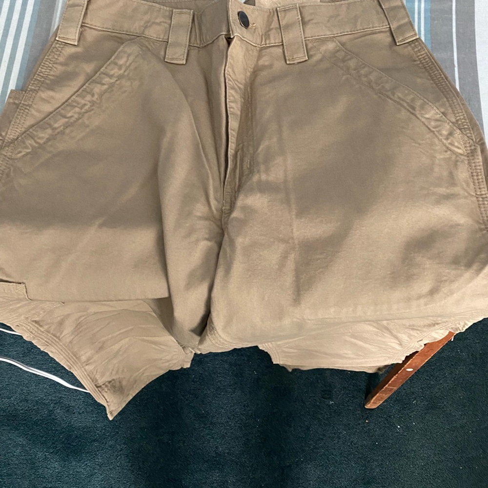 NEW Carhartt mens work pants